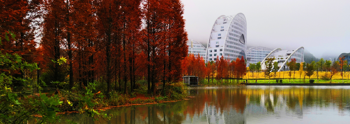 bat365在线中国登录入口马克思主义学院美...