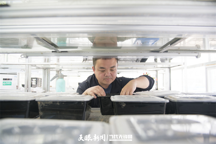 1718093713581748.jpg 微信图片_20240611154945.jpg