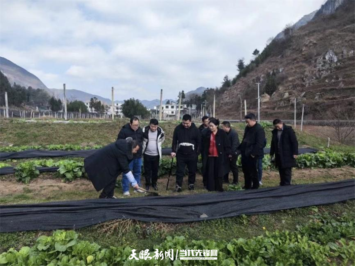 1718093687142636.png 1715740628876408.png