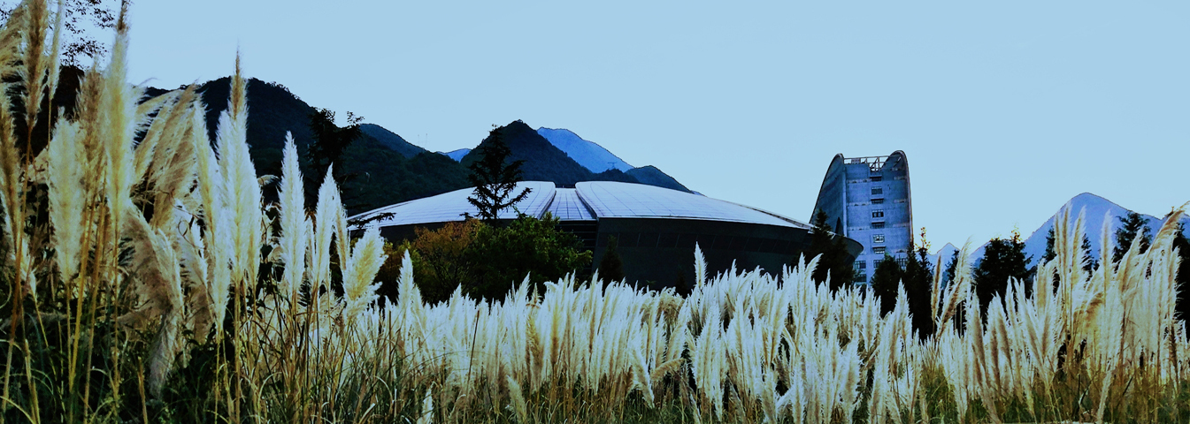 bat365在线中国登录入口马克思主义学院美...